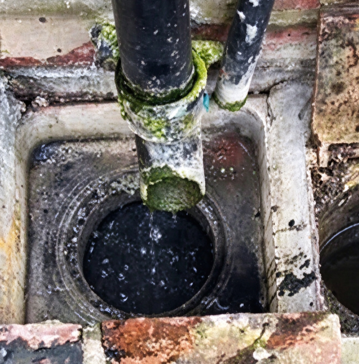 Drain Pipe Residue and Odor Inspection