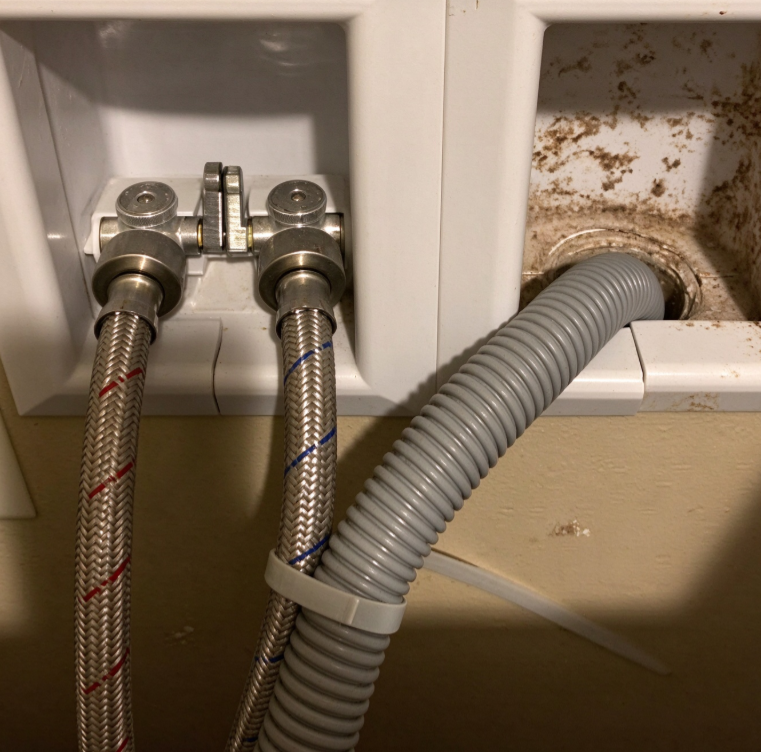 Washing Machine Drain Odor Inspection